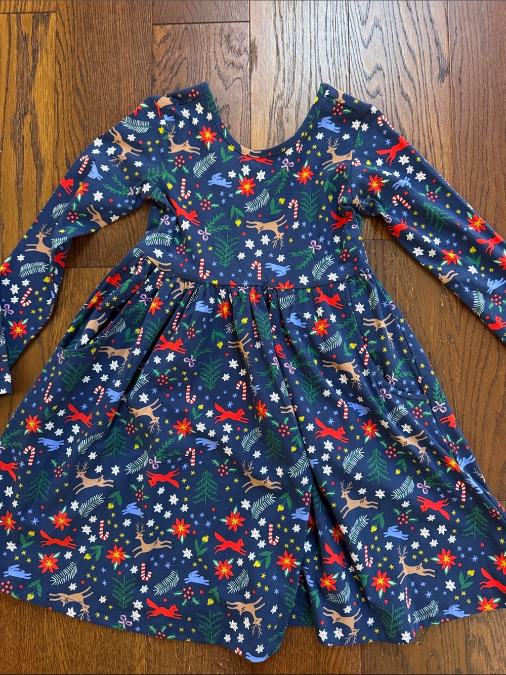 New without tags Hanna Andersson Holiday Print Long-Sleeve Dress